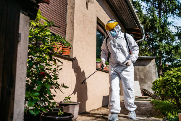 Best Commercial Pest Control Services  in Yaphank, NY